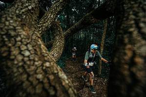 BIB: 
                            <button type="button" onclick="openModal(25698640)" class="btn btn-primary btn-sm float-right btn-popup" data-toggle="modal" data-target=".modal-high-quality">
                        <i class="fas fa-shopping-cart"></i> Add to Cart
                    </button>
                                            <button type="button" onclick="isThisMe(25698640, true)" class="btn btn-success btn-sm float-right btn-popup btn-isme hidden" data-toggle="tooltip" data-placement="bottom" title="นี่คือรูปของคุณใช่ไหม คลิกที่นี่เพื่อเอาเข้าอัลบั้ม">
                        <i class="fas fa-plus"></i> Add to album
                    </button>
                    <button type="button" onclick="isThisMe(25698640, false)" class="btn btn-warning btn-sm float-right btn-popup btn-isnotme hidden">
                        <i class="fas fa-ban"></i> Remove from album
                    </button>